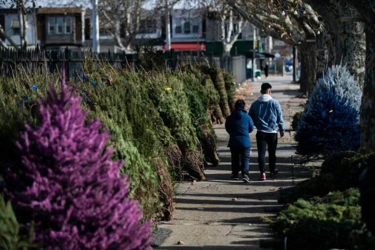 People walk among Christmas trees lining the sidewalk at the Tree Junction stand