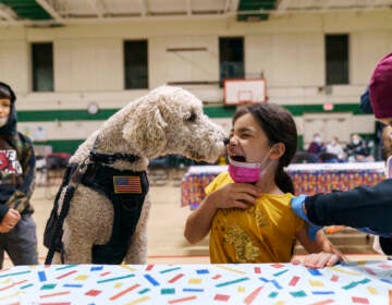 Leanna Arcilais licked by Watson, a therapy dog, as she gets a COVID-19 vaccine