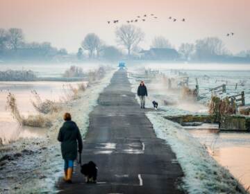 People walk their dogs along a narrow road as the first winter frost blankets the fields in Oudeland van Strijen in the Netherlands on Tuesday. It's the shortest day of the year and official start of winter. (Jeffrey Groeneweg/ANP/AFP via Getty Images)