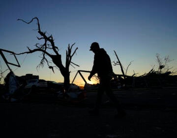 A cleanup worker walks past damaged trees