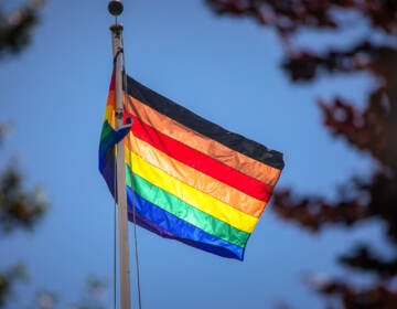 An LGBTQ pride flag is seen through trees