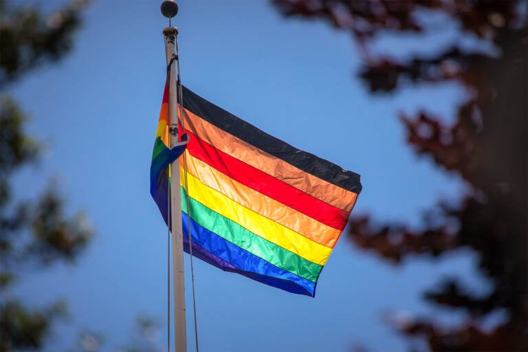 An LGBTQ pride flag is seen through trees