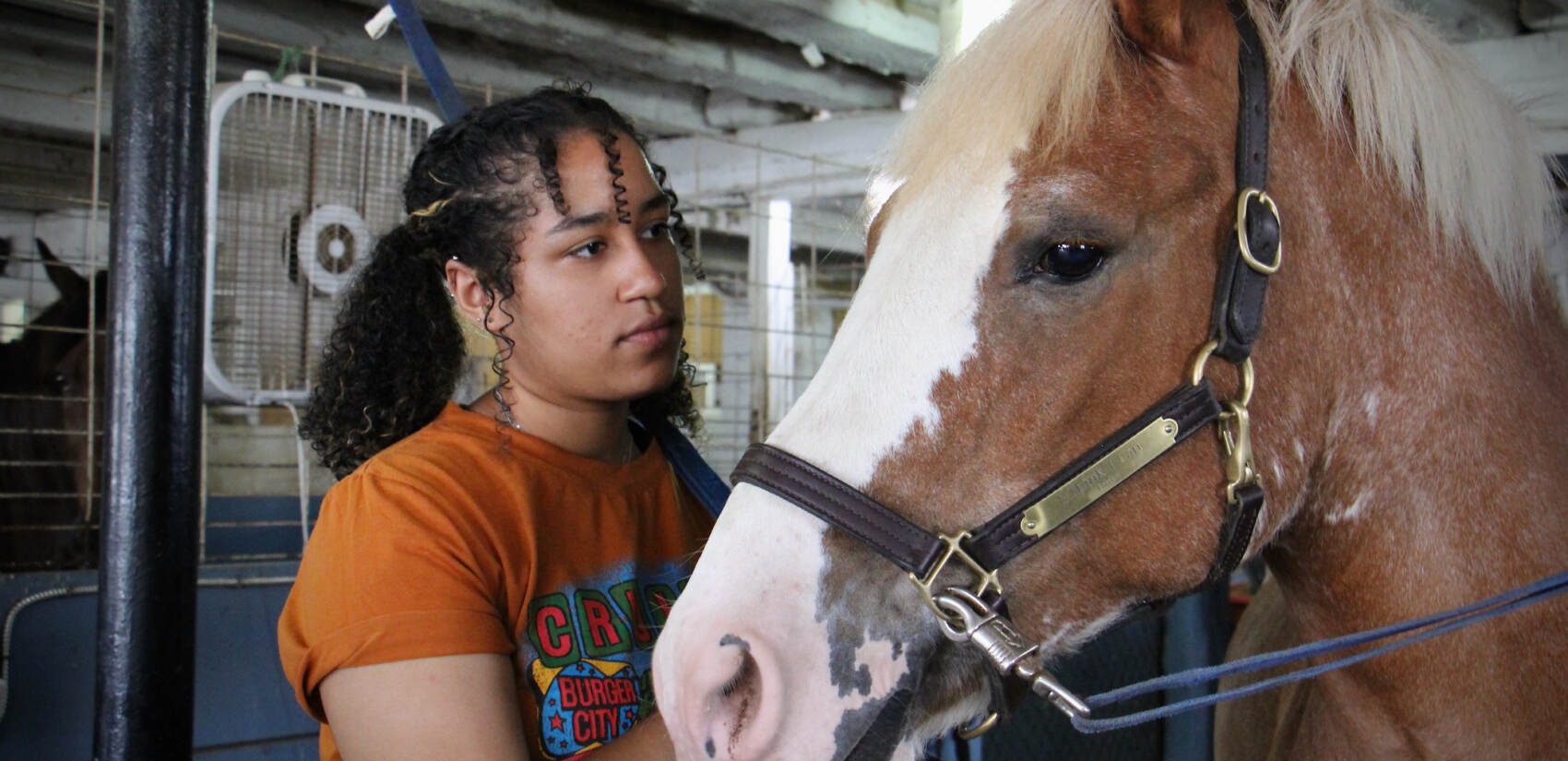 Percussionist Sarah Cassanova grooms a horse after morning orchestra practice at Music and Mindfulness camp