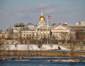 The view of the New Jersey Capitol building from Williamson Park in Morrisville, Pa. (Emma Lee/WHYY)