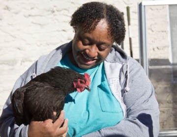 Ms. V smiles at one her chickens in her yard in Philadelphia. (Kimberly Paynter/WHYY)