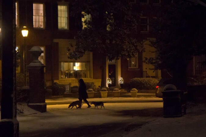 Snow began to fall in Philadelphia in the early evening hours on Jan. 28, 2022. (Kimberly Paynter/WHYY)