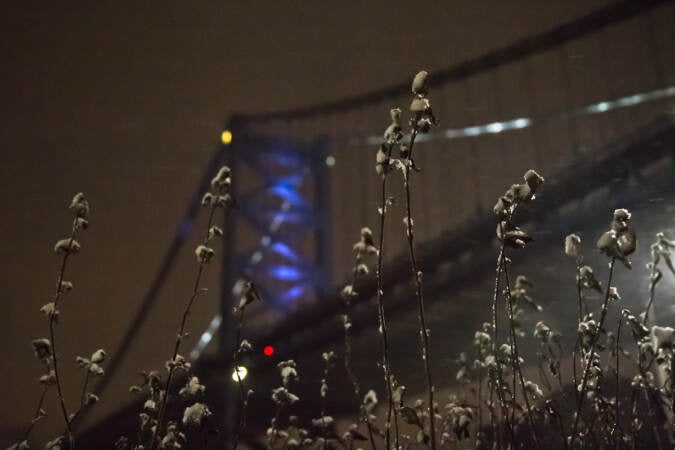 Snow began to fall in Philadelphia in the early evening hours on Jan. 28, 2022. (Kimberly Paynter/WHYY)