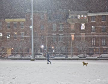 Norman chases his owner in the snow at Palumbo Recreation Center in South Philadelphia on Jan. 28, 2022. (Kimberly Paynter/WHYY)