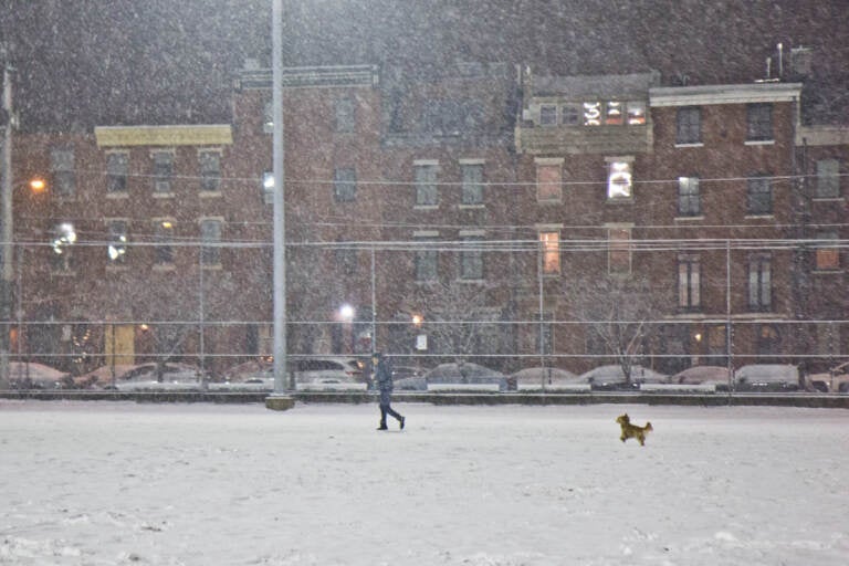 Norman chases his owner in the snow at Palumbo Recreation Center in South Philadelphia on Jan. 28, 2022. (Kimberly Paynter/WHYY)