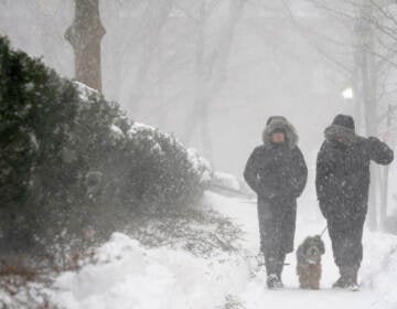 Dog walkers brave the snow and wind in Hoboken, N.J., Monday, Feb. 1, 2021. Snowfall is picking up in the Northeast as the region braced for a whopper of a storm that could dump well over a foot of snow in many areas, create blizzard-like conditions and cause travel problems for the next few days. (AP Photo/Seth Wenig)