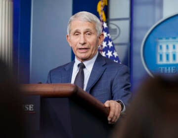 FILE - Dr. Anthony Fauci, director of the National Institute of Allergy and Infectious Diseases, speaks during the daily briefing at the White House in Washington, Dec. 1, 2021. (AP Photo/Susan Walsh, File)