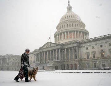 A winter storm delivers heavy snow to the Capitol in Washington, Monday, Jan. 3, 2022. (AP Photo/J. Scott Applewhite)