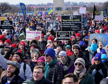 People attend the March for Life rally on the National Mall in Washington, Friday, Jan. 21, 2022. The March for Life, for decades an annual protest against abortion, arrives this year as the Supreme Court has indicated it will allow states to impose tighter restrictions on abortion with a ruling in the coming months. (AP Photo/Susan Walsh)