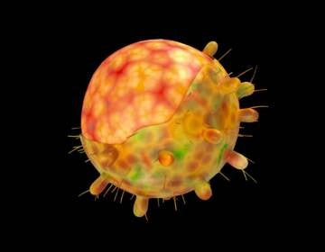A computer-generated image of the omicron variant of the coronavirus. (Uma Shankar Sharma/Getty Images)