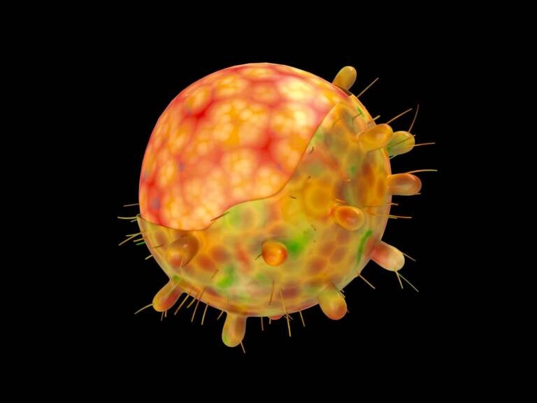 A computer-generated image of the omicron variant of the coronavirus. (Uma Shankar Sharma/Getty Images)