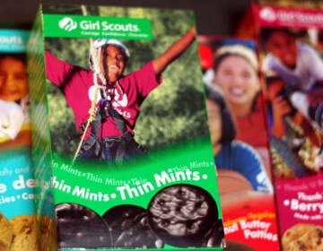 A closeup of Girl Scout cookie boxes.