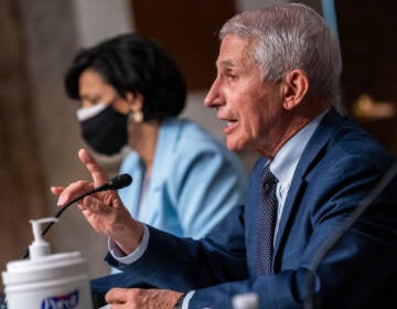 Dr. Anthony Fauci and Dr. Rochelle Walensky testify before the Senate