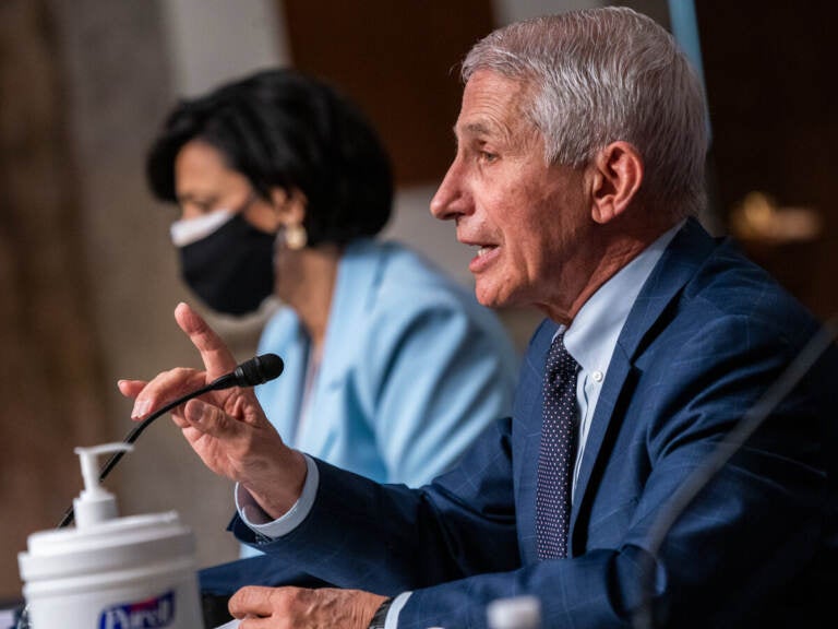 Dr. Anthony Fauci and Dr. Rochelle Walensky testify before the Senate