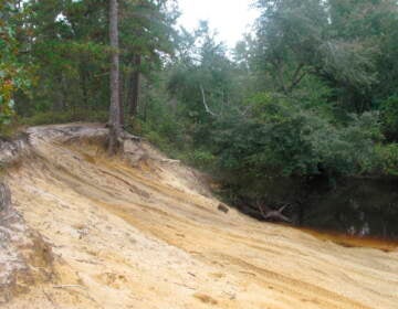 Tire tracks are seen cut into an area near a river in Wharton State Forest