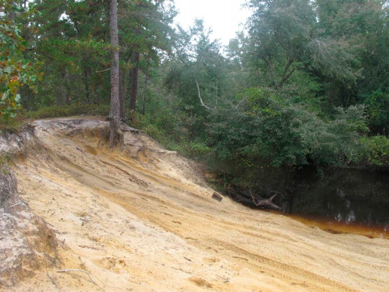 Tire tracks are seen cut into an area near a river in Wharton State Forest