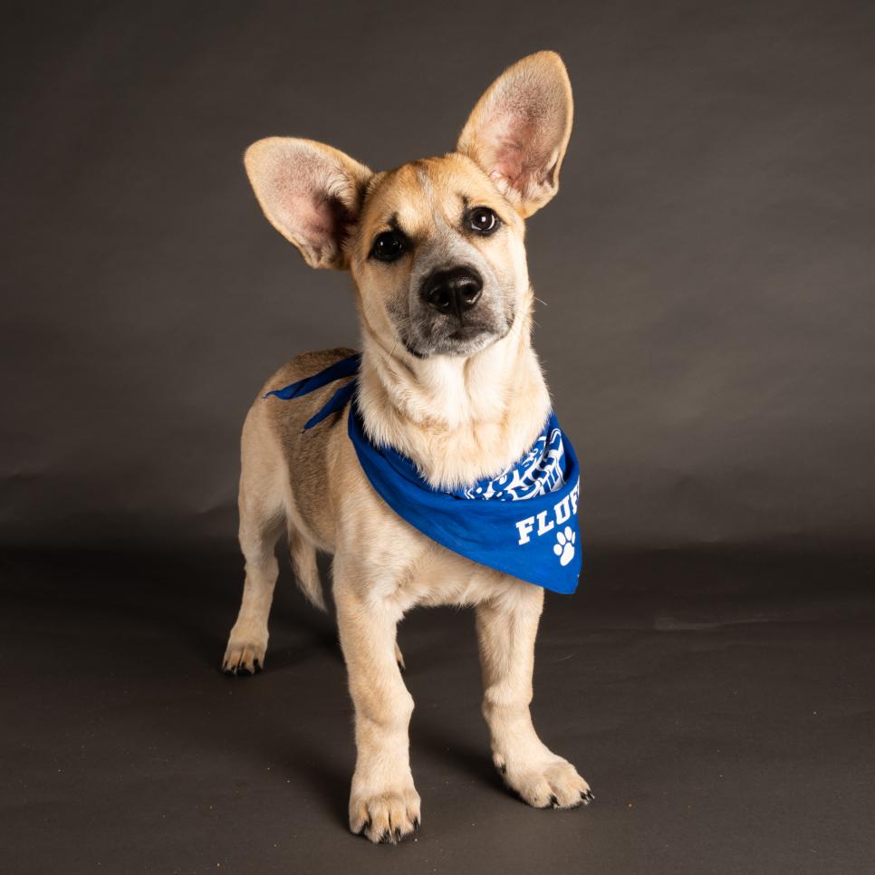 Thelma wears a bandana representing Team Fluff