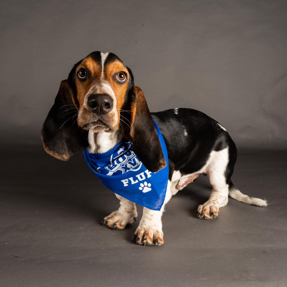 Watson wears a Team Fluff bandana