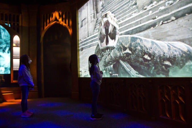 Screens recreate the movie magic at ''Harry Potter™: The Exhibition'' at the Franklin Institute in Philadelphia. (Kimberly Paynter/WHYY)