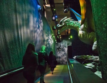 Norbert, the dragon from the Harry Potter world, recreated at ''Harry Potter™: The Exhibition'' at the Franklin Institute in Philadelphia. (Kimberly Paynter/WHYY)