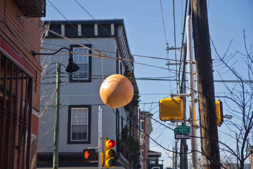 An apricot hangs from Mish Mish restaurant