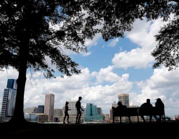 The Baltimore skyline is seen at a distance as people enjoy a warm day, Wednesday, July 1, 2020, in the Federal Hill neighborhood of Baltimore. (AP Photo/Julio Cortez)