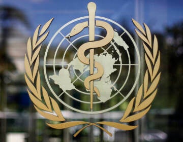 FILE - In this Thursday, June 11, 2009 file photo, the logo of the World Health Organization is seen at the WHO headquarters in Geneva, Switzerland. An independent panel appointed by the World Health Organization to review the U.N. health agency’s coordination of the response to the COVID-19 pandemic said on Thursday, Sept. 3, 2020 it would have full access to any internal U.N. agency documents, materials and emails necessary as the group begins their probe. (AP Photo/Anja Niedringhaus, file)