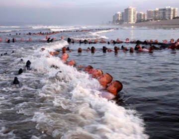 FILE - U.S. Navy SEAL candidates, participate in 