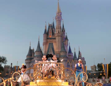 FILE - Mickey and Minnie Mouse perform during a parade as they pass by the Cinderella Castle at the Magic Kingdom theme park at Walt Disney World in Lake Buena Vista, Fla. The theme park resort announced Tuesday, Feb. 15, 2022, that face coverings will be optional for fully-vaccinated visitors in all indoor and outdoor locations, with one exception. Face masks still will be needed for visitors ages 2 and older on enclosed transportation, such as the resort's monorail, buses and the resort's sky gondola