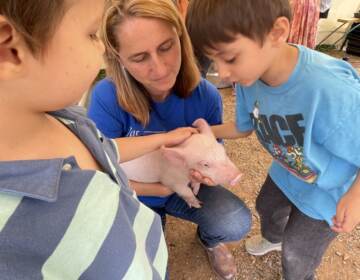 Rosie Alfaro and her two sons, Marcus and Mason at their farm in Bucks County. (Courtesy of Earth's Best Organics)