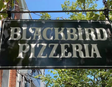 Blackbird's sign in Northern LibertiesINSTAGRAM / @BLACKBIRDPIZZA