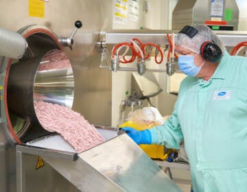 A lab technician at a Pfizer factory inspects Paxlovid tablets
