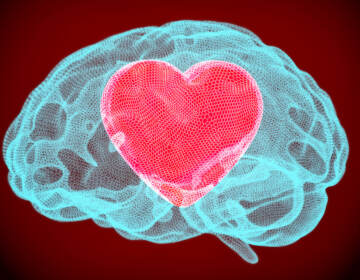 Illustration of a pink heart inside blue brain