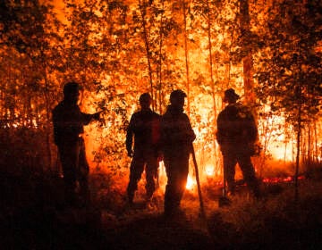 Firefighters work at the scene of forest fire near Kyuyorelyakh village