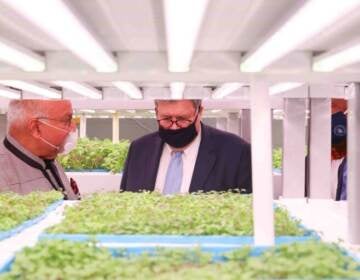 Second Chances Farm founder Ajit George gives a tour of the growing area to then-U.S. Attorney General William Barr in September 2020. (Saquan Stimpson for WHYY)