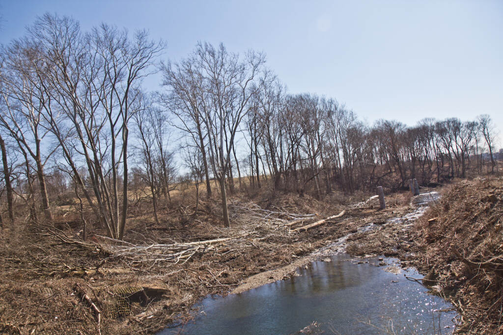 A view of a creek and a piece of land stretching into the distance.