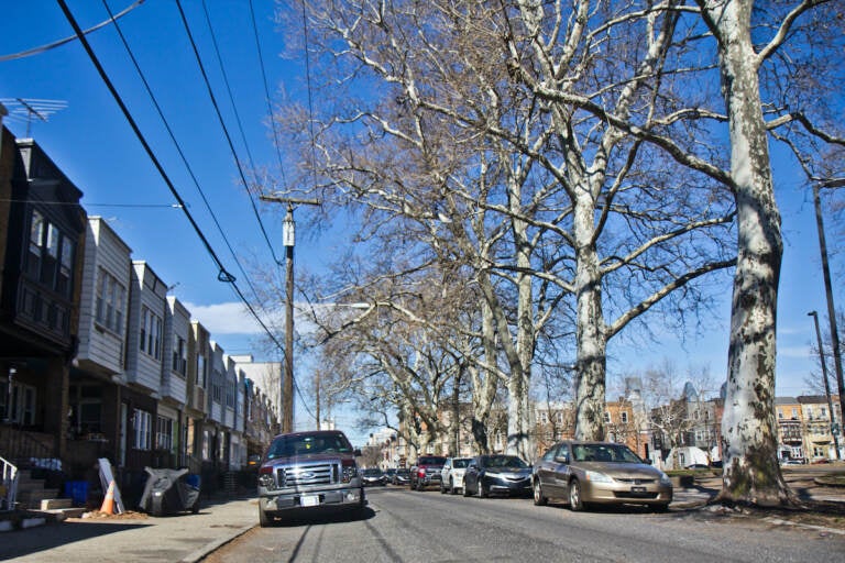 Homes are seen on South 24th between Reed and Wharton streets