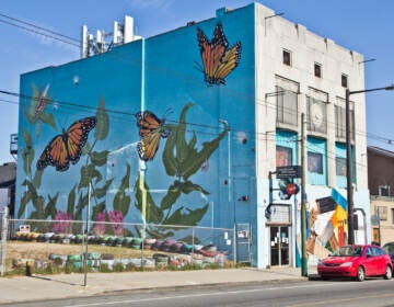 A mural with butterflies is visible on the side of a building.