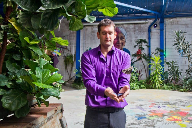 A man in a purple shirt releases two butterflies.