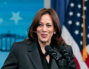 Vice President Kamala Harris appears in front of a mic at a press conference