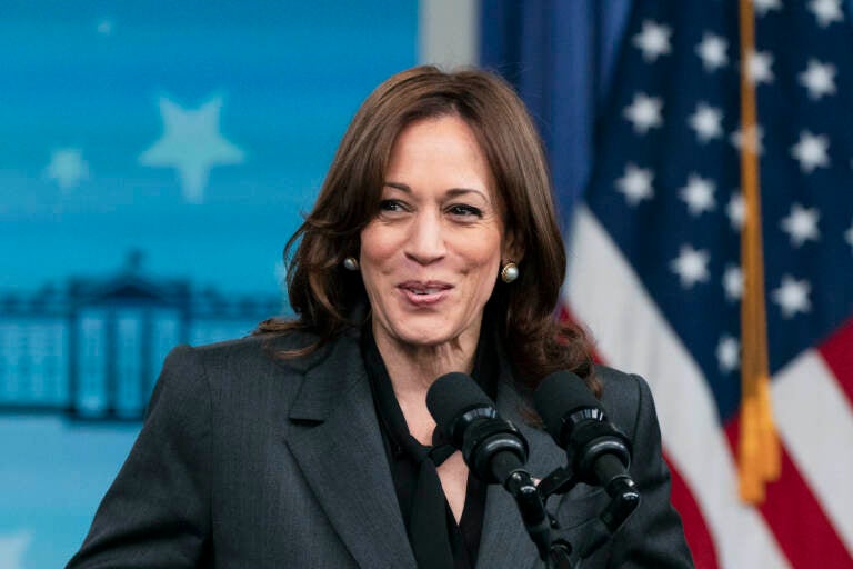 Vice President Kamala Harris appears in front of a mic at a press conference