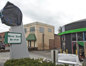 Signs at the CBD Kratom store in Radnor, Pa., covered on March 31, 2022. (Kimberly Paynter/WHYY)