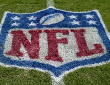 An NFL logo as the Tampa Bay Buccaneers host the Carolina Panthers at Raymond James Stadium on October 12, 2008 in Tampa, Florida.  (Photo by Al Messerschmidt/Getty Images)