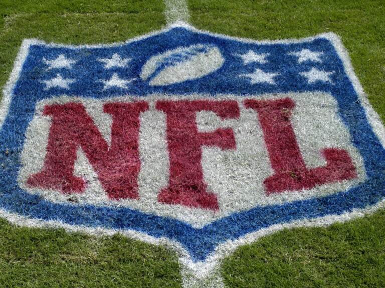 An NFL logo as the Tampa Bay Buccaneers host the Carolina Panthers at Raymond James Stadium on October 12, 2008 in Tampa, Florida.  (Photo by Al Messerschmidt/Getty Images)