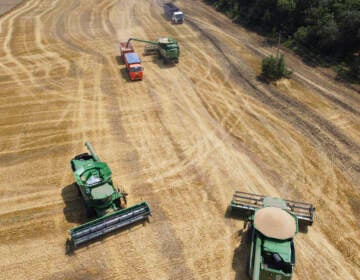 File photo: Farmers use combines to harvest a wheat field near the village Tbilisskaya, Russia, on July 21, 2021. Russia accounts for 30% of wheat exports, which means that poorer countries that depend on imports could face major supply shocks