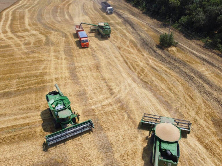 File photo: Farmers use combines to harvest a wheat field near the village Tbilisskaya, Russia, on July 21, 2021. Russia accounts for 30% of wheat exports, which means that poorer countries that depend on imports could face major supply shocks